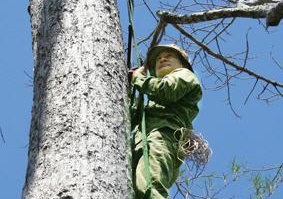 Phim tài liệu “Tội ác rừng xanh” đoạt giải Việt Nam xanh